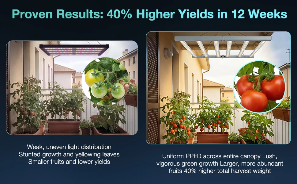 Proven-results Proven-results