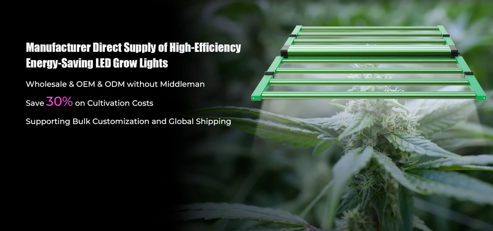 Pavo Series SUPPORT 180° FOLDING AND CONTROL