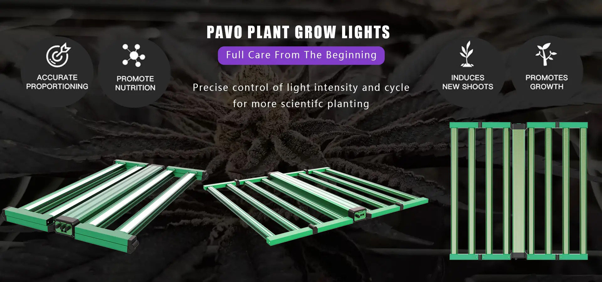 PAVO PLANT GROW LIGHTS